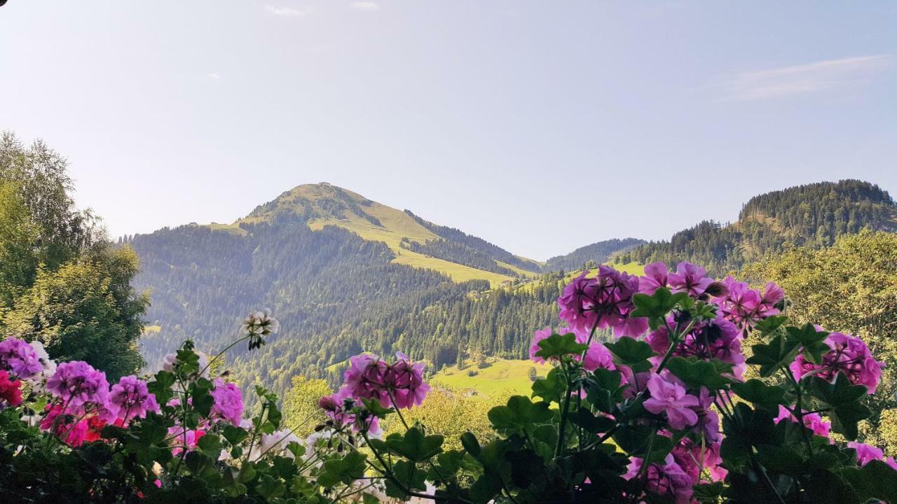 Apartmán Jodlhof Söll Exteriér fotografie